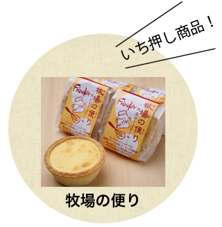 紹介素材_12
