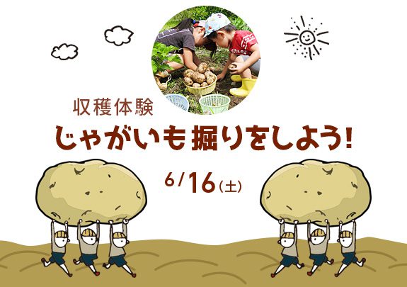 【雨天予報のため中止になります】収穫体験　ジャガイモ掘りをしよう！
